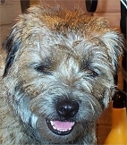 selmaskratt2.jpg (28217 bytes)