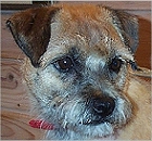 selmaskratt7.jpg (22840 bytes)