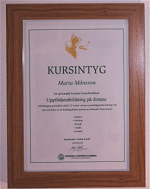 SKK kurs
