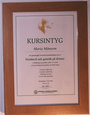SKK kurs genetik